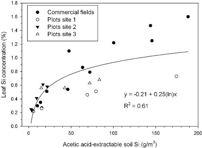 Figure 2. Relationship between leaf Si concentration (2-yr means of plant and first ratoon) and acetic acid-extractable soil Si (sampled after plant cane) for commercial fields and small-plot tests of Ca silicate application.
