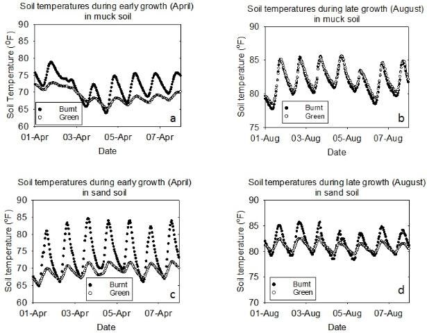 Figure 3. Diurnal soil temperatures (6-inch soil depth) at early growth stage (April) and and late growth stage (August) for plots previously subjected to burnt or green cane harvest in muck and sand