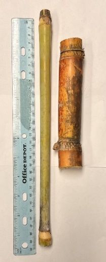 Middle internode of energycane compared with sugarcane cultivar CP 96-1252 (energycane cultivar on left and sugarcane cultivar on right).