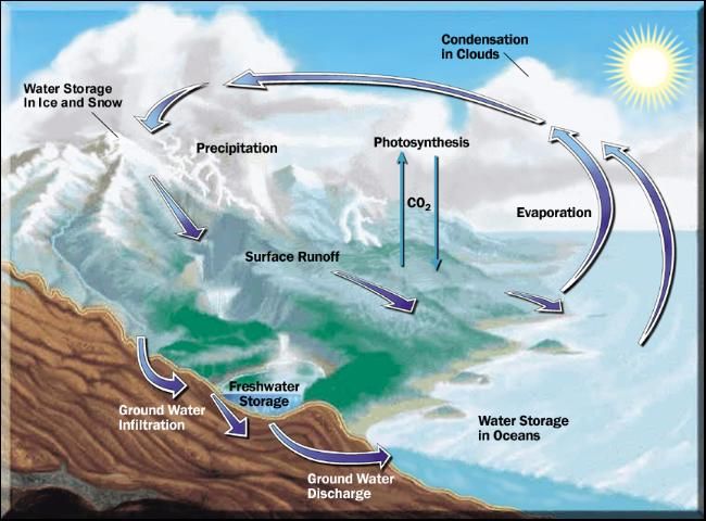 Figure 2. A schematic representation of the cycles through which water moves between the earth and the atmosphere.