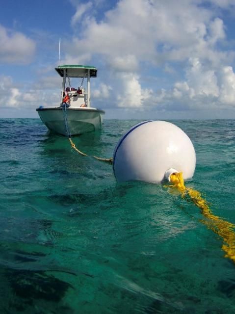 Figure 3. Use mooring buoys instead of anchoring to enjoy the water and secure the boat while protecting sensitive coral reefs.