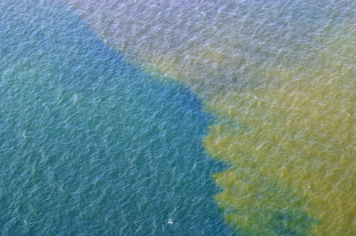 Figure 2. When the algae that causes red tide multiplies in sufficient numbers, it produces blooms with a visible reddish cast in ocean waters.
