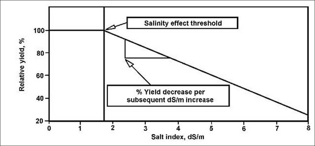 Figure 1. Relationship between salt index and relative yield showing the salinity effect threshold and % yield per subsequent dS/m increase.