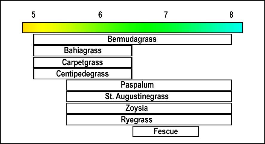 Figure 1. Soil pH ranges for Florida turfgrasses.