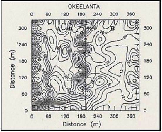 Figure 2b. Contour maps showing infield variability of water extractable P (Pw) concentrations from a Torry and Okeelanta mucks from the EAA (Diaz et al., 1992).