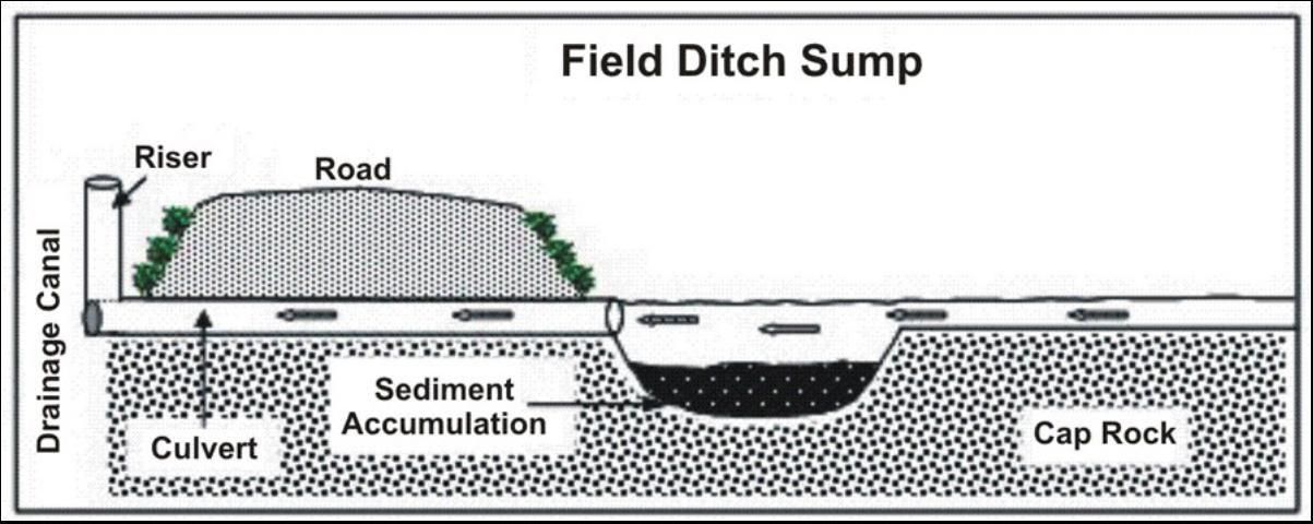 Figure 4. Schematic diagram of field ditch sump.