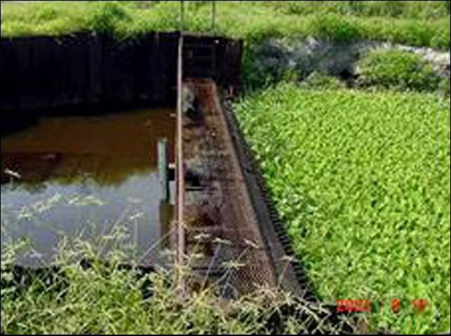 Figure 11. Weed booms (a) and trash racks (b) keep aquatic weeds from drainage pumps.