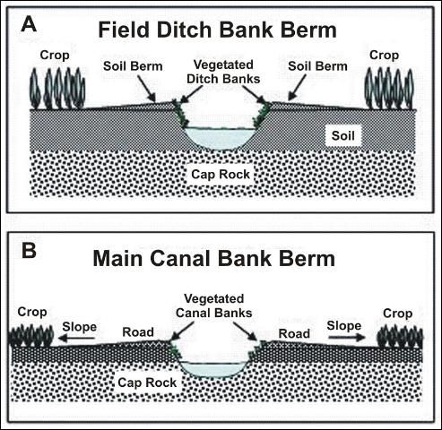 Figure 2. Schematic diagram of A) field ditch berm and B) main canal bank berm.