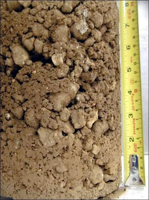 Figure 4. The profile of a gravelly soil. The soil is typical of soils found in the Homestead area, in the southern peninsula of Florida.