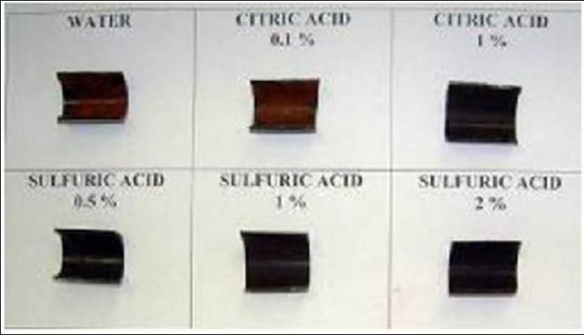 Figure 4. Treatment of iron scale formed within irrigation tubing with sulfuric acid, citric acid, and a proprietary product at selected concentrations. Iron scale on the inside of the tubing is evident by the reddish brown/rust color.