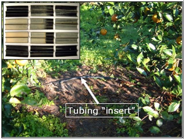 Figure 6. A short section of new plastic tubing 