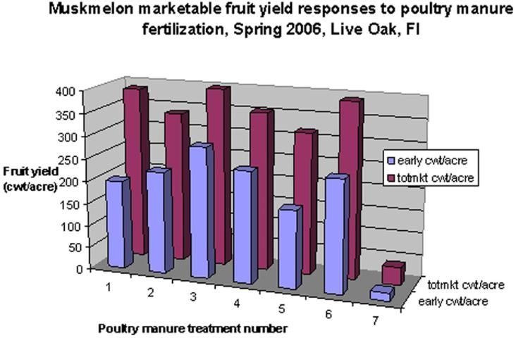 Figure 6. Marketable muskmelon yield responses to poultry manure fertilization, Spring 2006, Live Oak, FL.