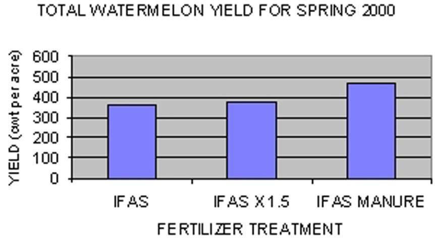 Figure 8. Watermelon yield with soluble N at IFAS rate and 1.5 X IFAS recommended rate (150 lb/acre), and recommended poultry manure rate assuming 50% mineralization, spring 2000, Live Oak, FL.
