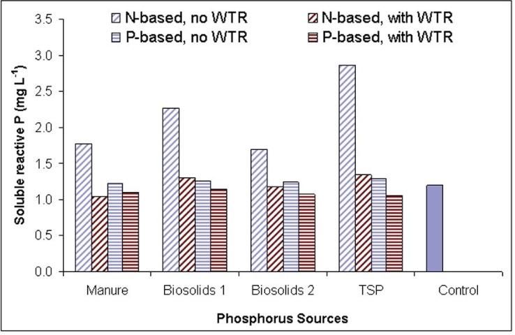 Figure 2. Effects of P sources (applied at N-based-, and P-based rates) and WTR amendment (10 tons/acre) on the soluble phosphorus concentrations of shallow (~0.9 m) groundwater samples obtained from a field study.