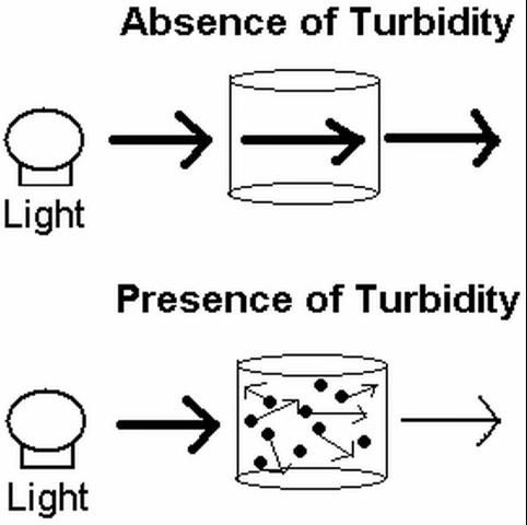 Figure 1. Illustration of the effect of turbidity on how light travels through water. Light is scattered in many different directions in the presence of turbidity, decreasing the amount that will penetrate deep into a water body.