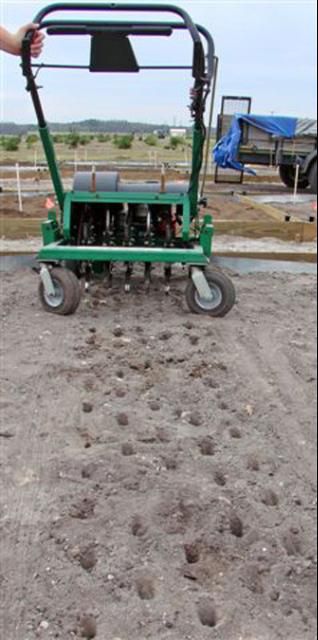 Figure 4. Plug aeration can be used to improve drainage in compacted soils with minimal effect on established plant roots or turfgrass.