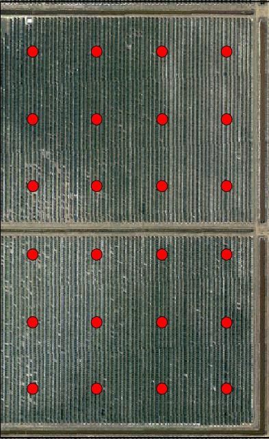 Figure 7. Example of the grid sampling strategy for selecting soil and leaf sampling locations. The red dots show predetermined sampling locations that will be recorded with GPS equipment and used to construct variability maps.