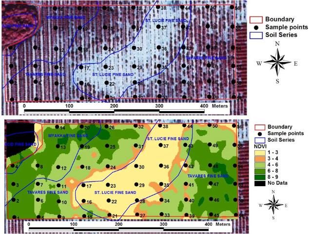 Figure 9. Example of grid sampling coupled with a soil map and resulting citrus yield map. Integration of these components can lead to effective sampling and better management decisions to optimize yield and quality. These strategies also qualify as Best Management Practices.