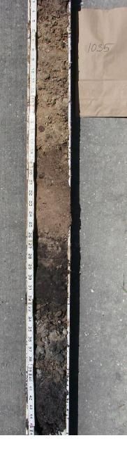 Figure 2. Removing a soil core or vertical slice from the disturbed soil to compare with the description of the native soil indicated on the site soil survey can provide information about the extent of soil disturbance during construction activities.