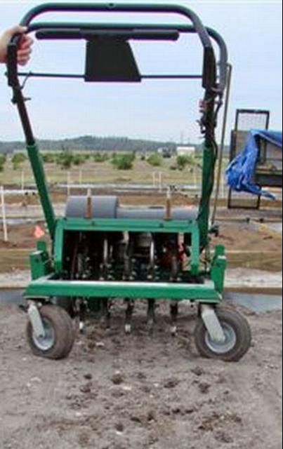 Figure 4. Plug aeration can be used to improve drainage in compacted soils with minimal effect on established plant roots or turfgrass.