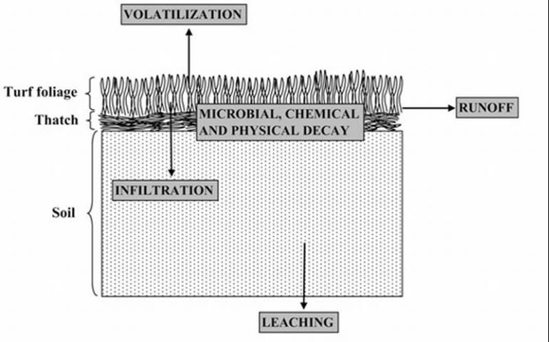 Figure 1. Potential pathways of reclaimed water constituents in soil.