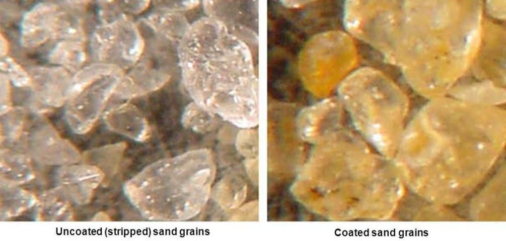 Figure 2. Microscopic morphology of sand grain coatings from the unproductive and productive areas of the grove.
