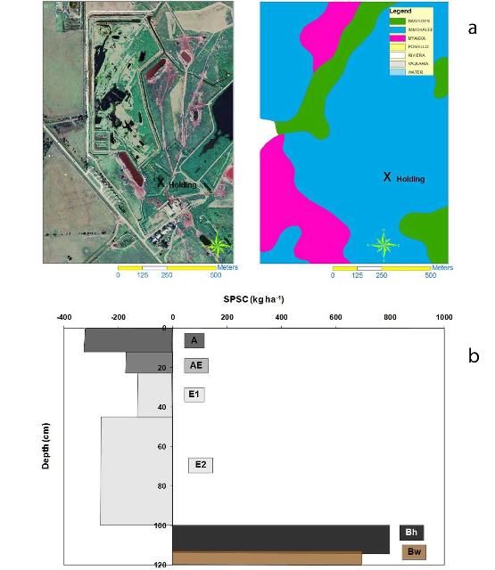 Figure 4. (a) Site and sampling locations at a P-impacted cattle holding area on Immokalee soil at a dairy in the Lake Okeechobee Basin. (b) SPSC by horizon for the pasture soils up to a depth of 120 cm. Total SPSC to 120 cm depth = 620 kg ha-1 (550 lbs acre-1).