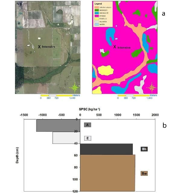 Figure 3. (a) Site and sampling locations at a P-impacted intensively managed area on Myakka soil at a dairy in the Lake Okeechobee Basin. (b) SPSC by horizon for the pasture soils up to a depth of 120 cm. Total SPSC to 120 cm depth = 950 kg ha-1 (845 lbs acre-1).