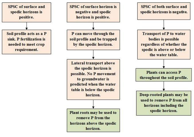 Figure 4. Flowchart illustrating the applicability of SPSC in predicting P loss risk from surface and subsurface horizons of Spodosols. When SPSC is negative, removal of P from a soil horizon may be accomplished by growing plants that are able to remove P from that horizon.