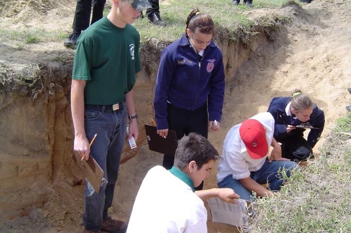 Figure 1. Florida 4-H and FFA students observe characteristics of soil profiles during the Florida 4-H/FFA Land Judging Contest.
