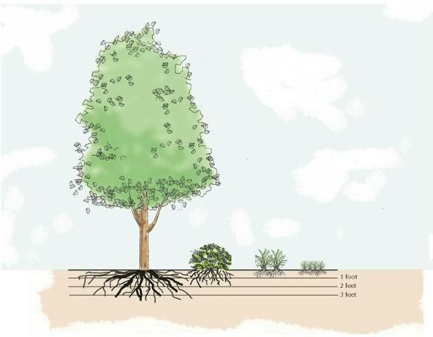 Figure 2. A discoloration of the roadway gutter is a sign of continual wetting from lawn runoff.