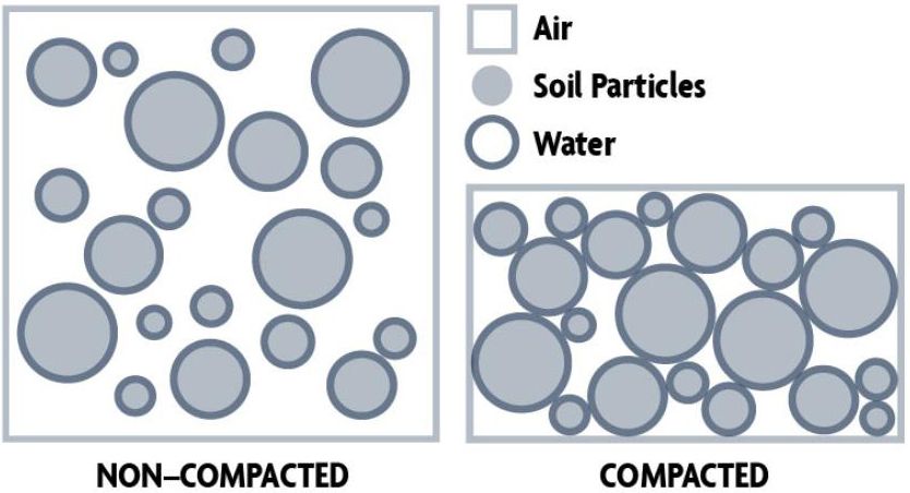 Illustration of soil compaction.  Note the reduced proportion of air space in the compacted soil (University of Minnesota Extension 2001).