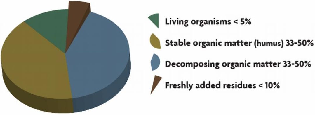 Ideal mixture of soil organic matter components (Ingham 2000).