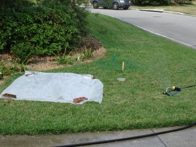 Figure 4. Digging the dyed areas allows you to see how the dye moves in sandy soils.