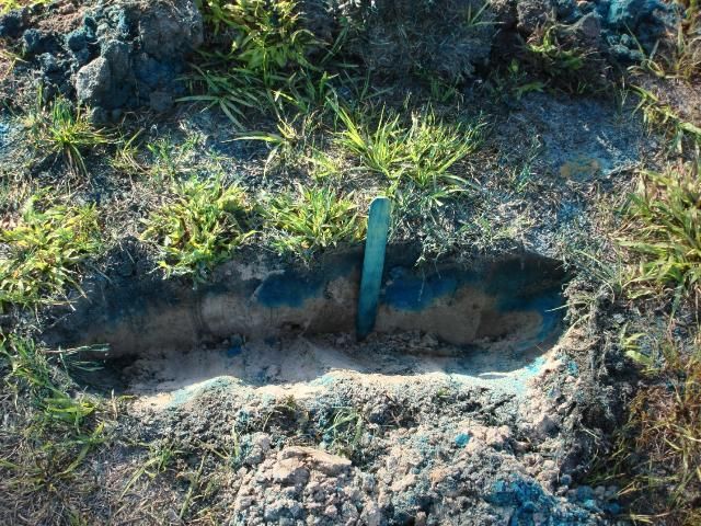 Figure 4. Digging the dyed areas allows you to see how the dye moves in sandy soils.