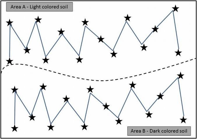 Figure 1. Schematic representation of soil sampling locations within a paddock. Each star represents a sampling location. Areas A and B (separated by dashed line) should be sampled and analyzed separately, because they are different soil types.