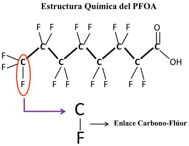 Figure 1. Estructura química del ácido perfluorooctanoico (PFOA).