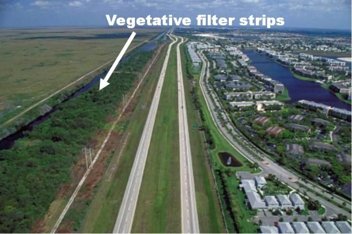 Figure 3. Vegetative filter strips used as a stormwater management practice in south Florida.