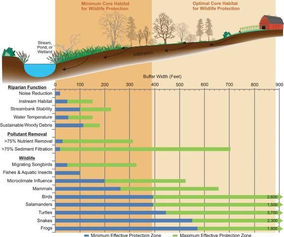 Figure 1. Multi-functions of riparian buffer systems depending on width of the buffer.
