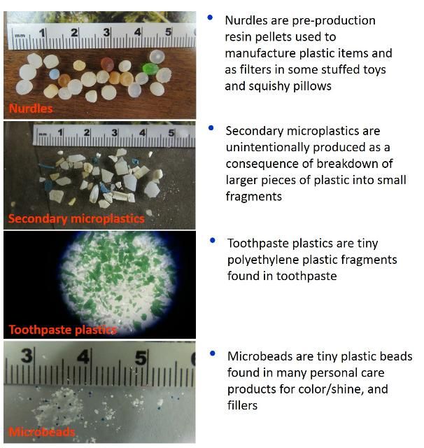 Figure 1. Various types of microplastics.