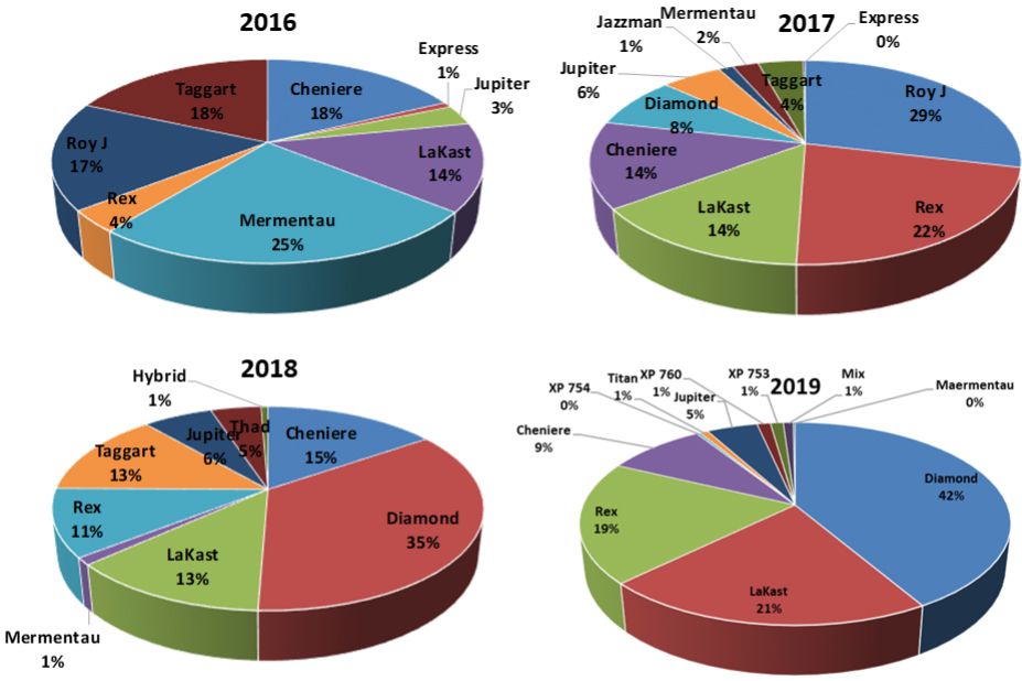 Percent acreage of different rice varieties grown in the EAA from 2016 to 2019.