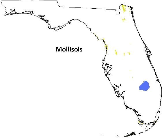 Figure 6. Distribution of Mollisols in Florida.
