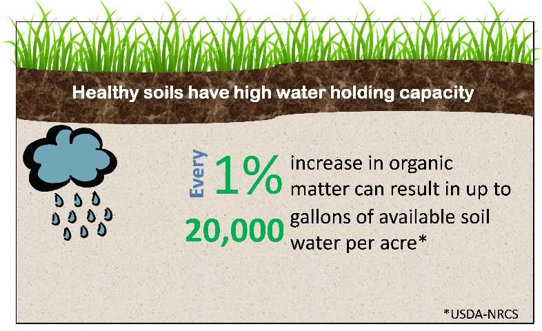 Figure 1. Healthy soils with high organic matter will equate to higher water holding capacity.