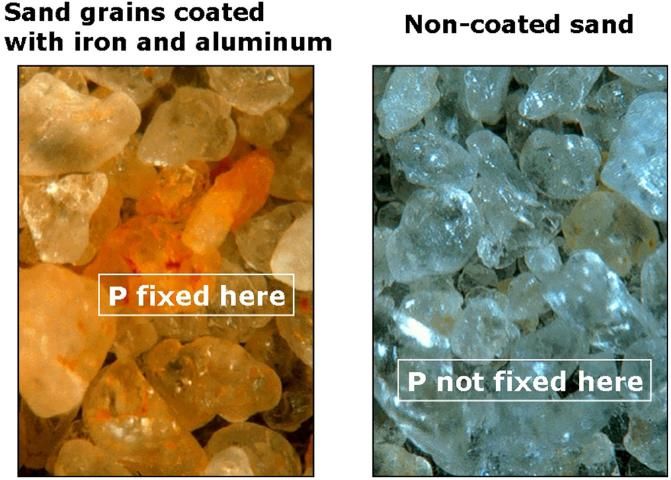 Figure 6. Coated and noncoated sand grains.
