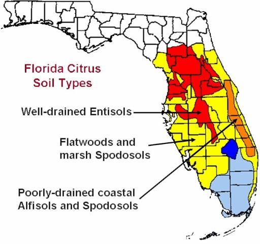 Figure 1. Distribution of soil types planted to citrus in Florida.