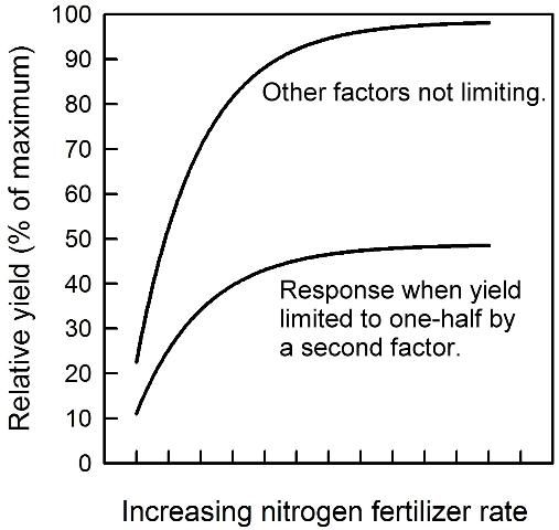 Figure 2. Generic response of citrus yield to N fertilizer rate.