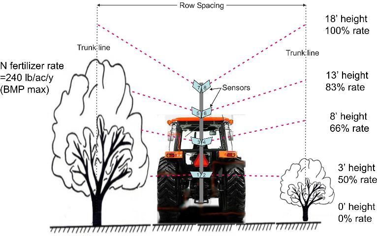 Figure 7. Variable-rate fertilization is linked to measurements of tree height.