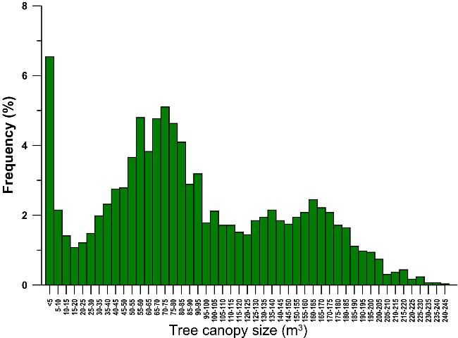 Figure 3. Frequency histogram of tree size within a citrus grove.