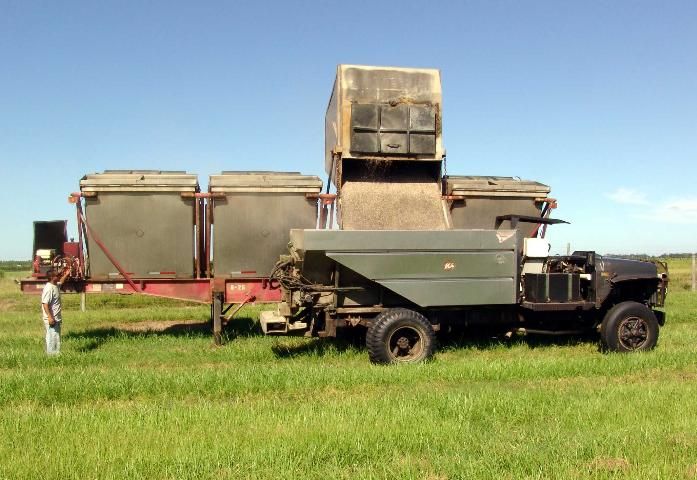 Figure 1. Unloading dry solid fertilizer from a delivery trailer to a grove spreader.
