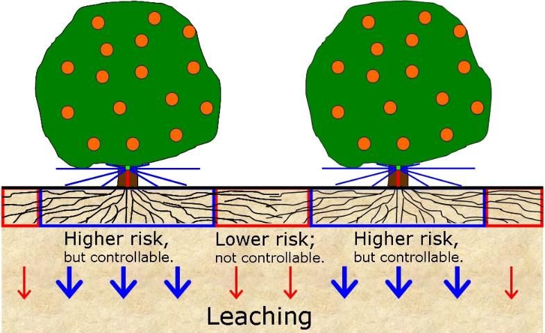 Figure 3. Irrigated and non-irrigated zones in a citrus grove have different leaching potentials that depend on irrigation scheduling and fertilizer placement.